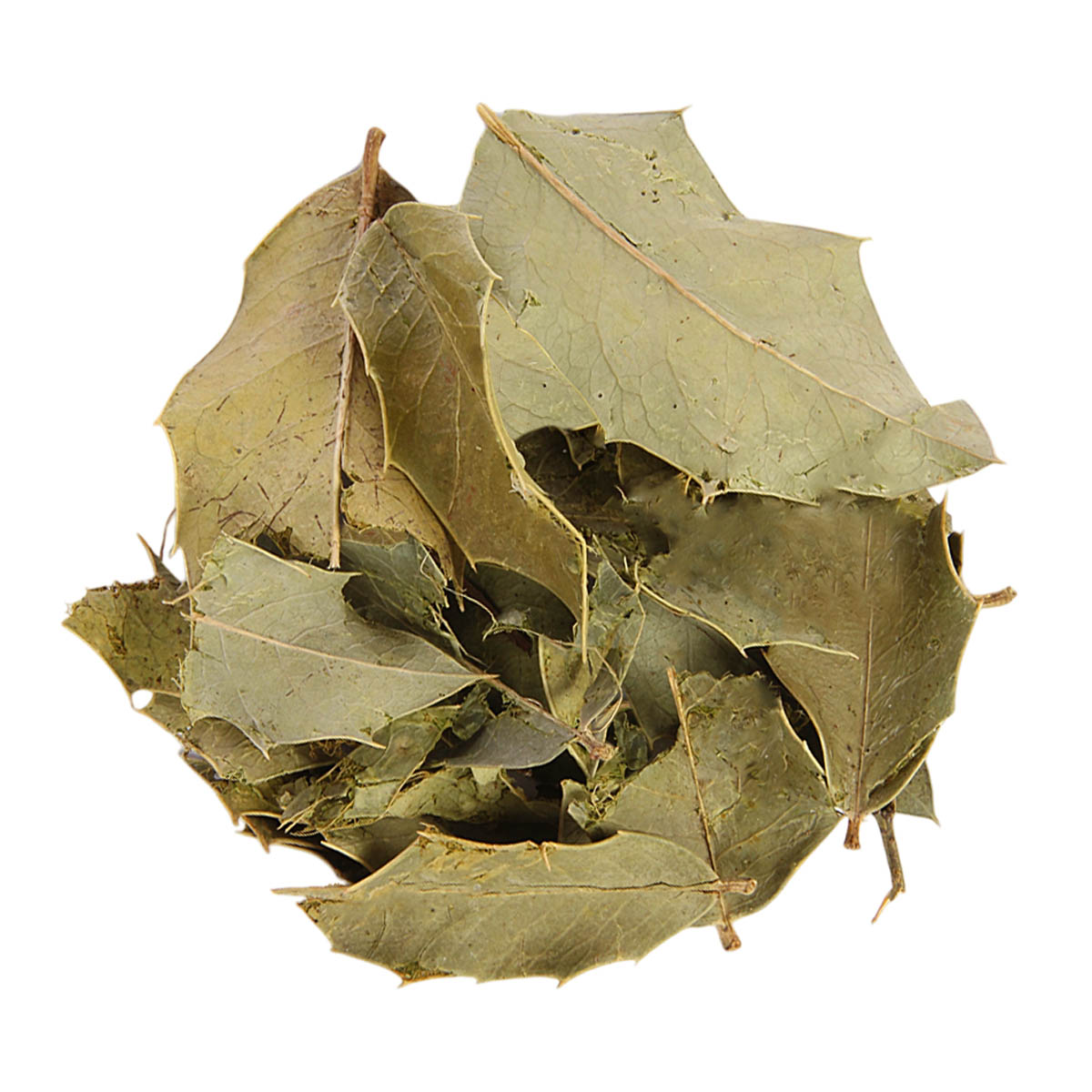 espinheira mayteros copiar